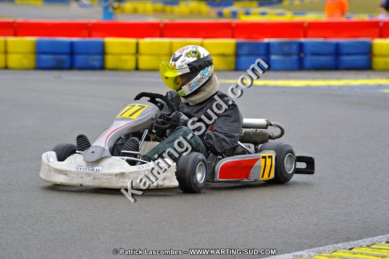 DSC_ (991).jpg